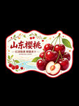 山东樱桃标签设计图