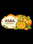 贝贝南瓜展示图