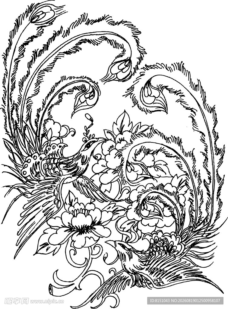 传统凤凰图案手绘线条画