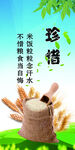 珍惜 资源 粮食