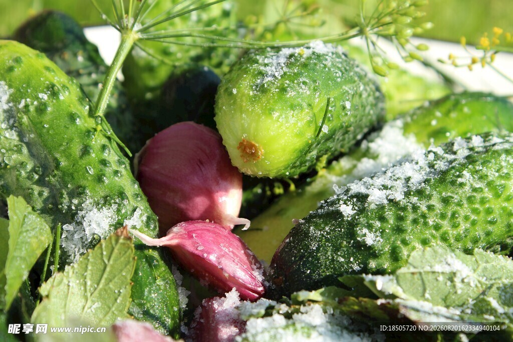 新鲜多彩蔬菜组合