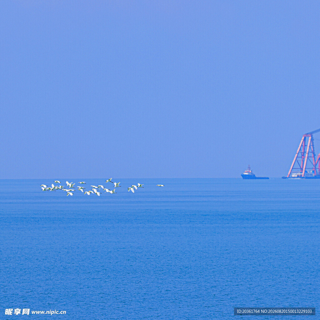 海上施工场景