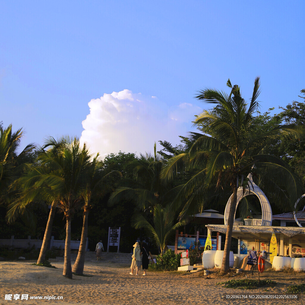 热带海滩边的小屋与椰树