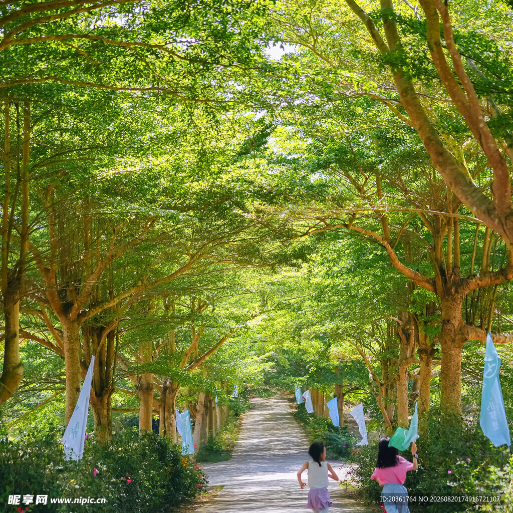 林间漫步道