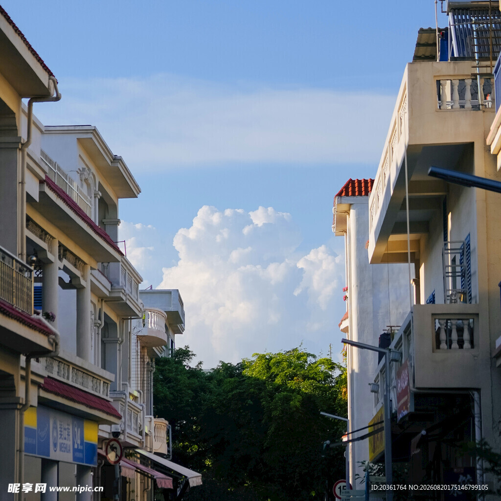街道旁的多彩建筑景观