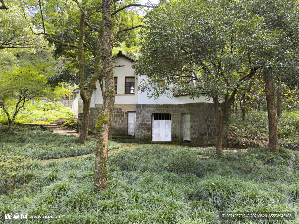 林间小屋隐于葱郁草木间