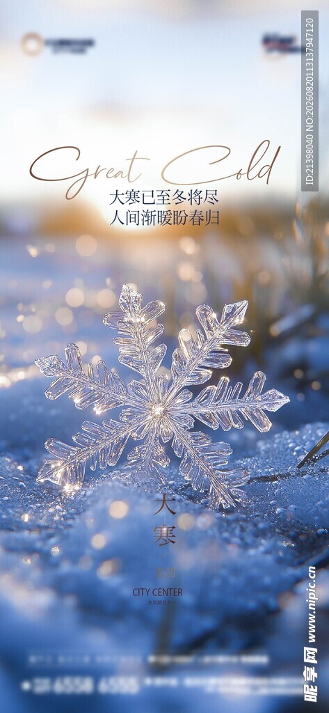 冬日晶莹雪花特写