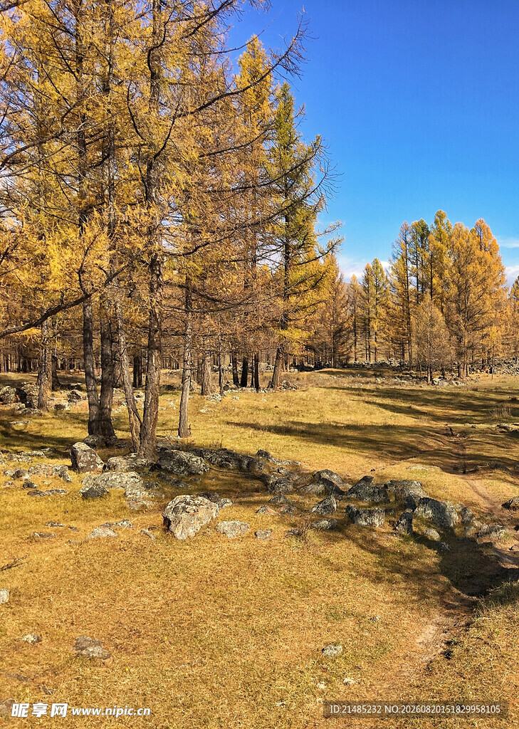 秋日山林美景
