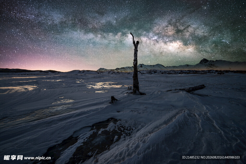 孤独枯树立于星空雪地