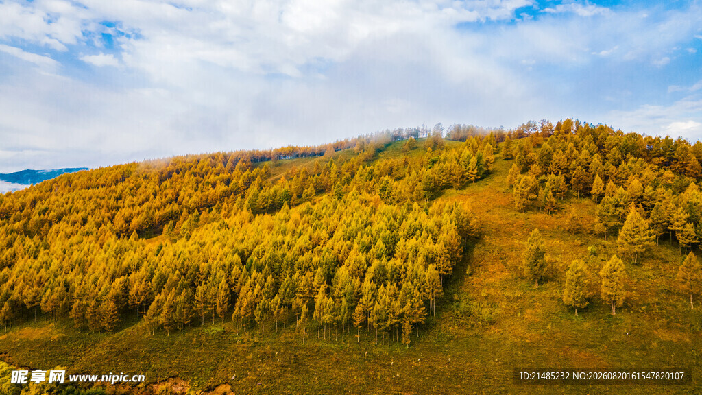 秋日山林美景