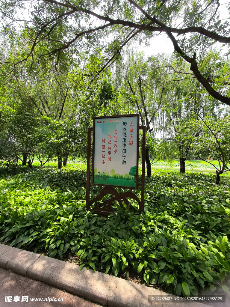 公园绿植中的标识牌