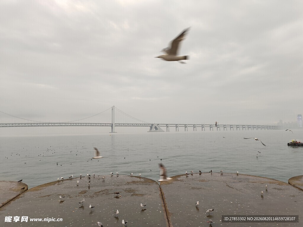 海上飞鸟与船只场景