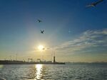海上日出伴飞鸟