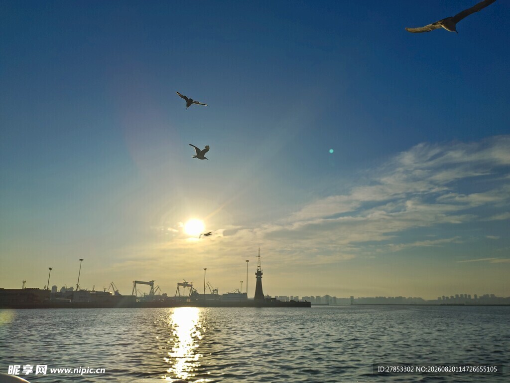 海上日出伴飞鸟