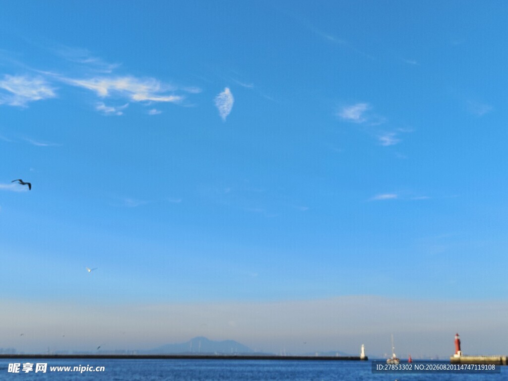 蓝天碧海间的船只与飞鸟