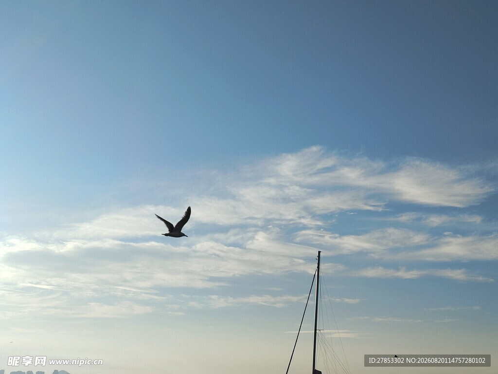 海天一色间飞鸟与帆船