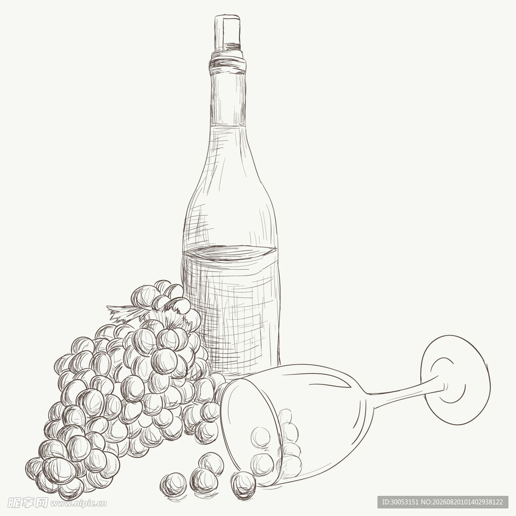 葡萄美酒素描图