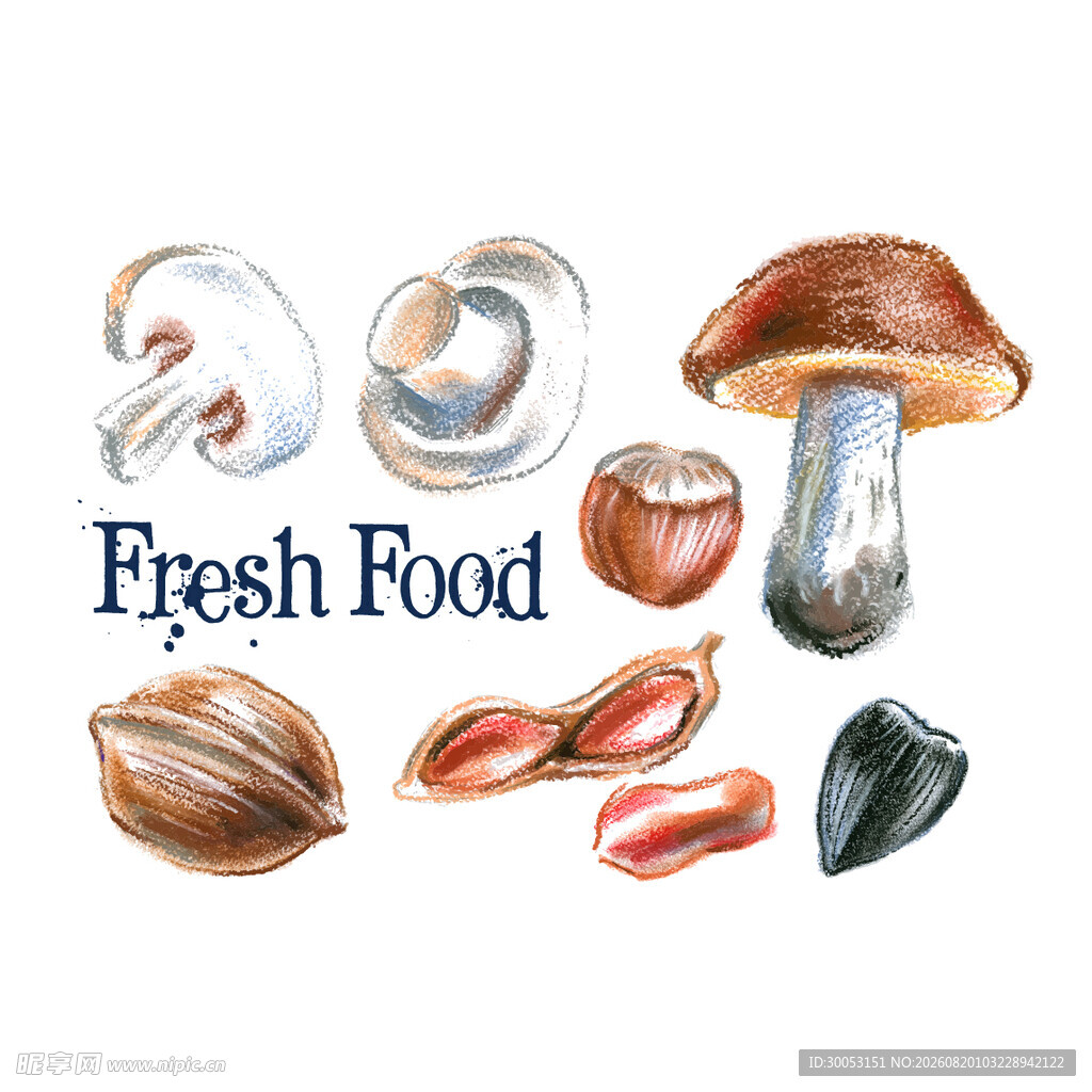 新鲜食材插画