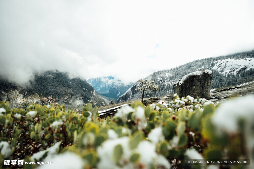 山间覆雪绿植美景
