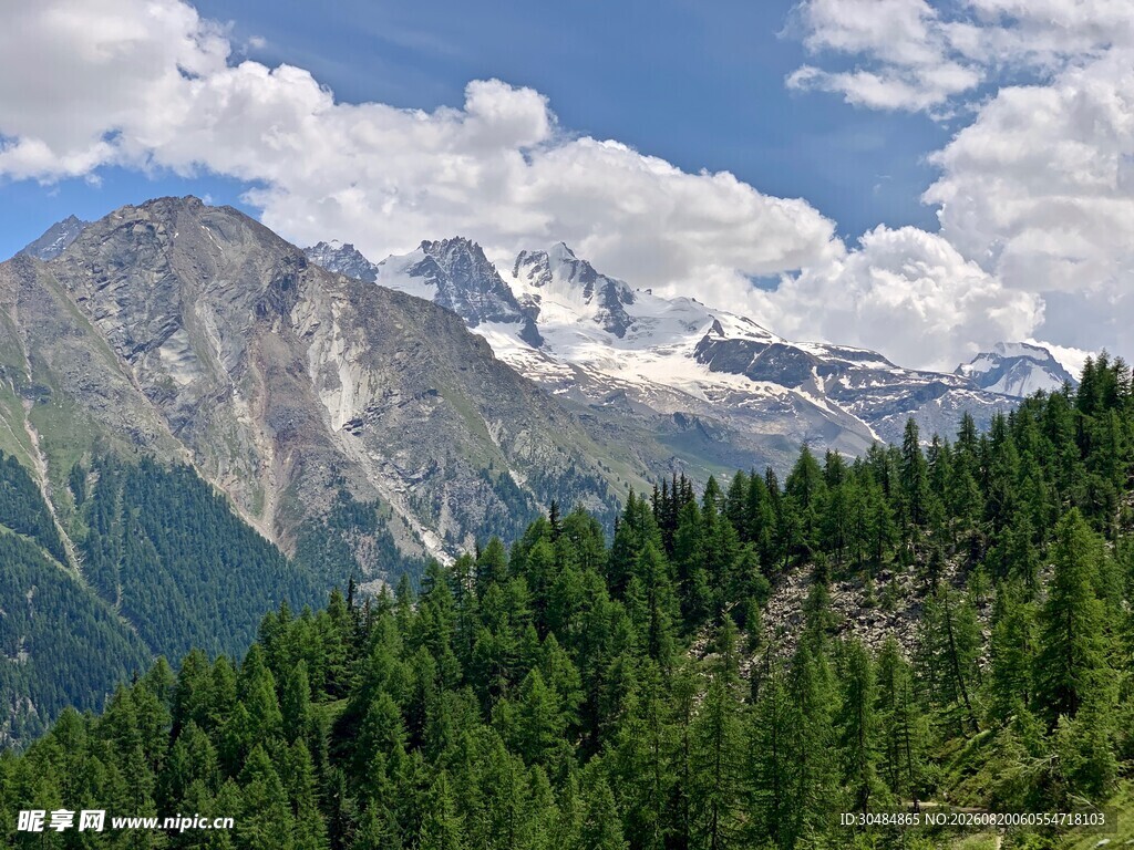 高山森林间的壮丽自然景观