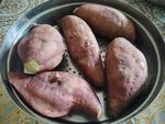 红薯