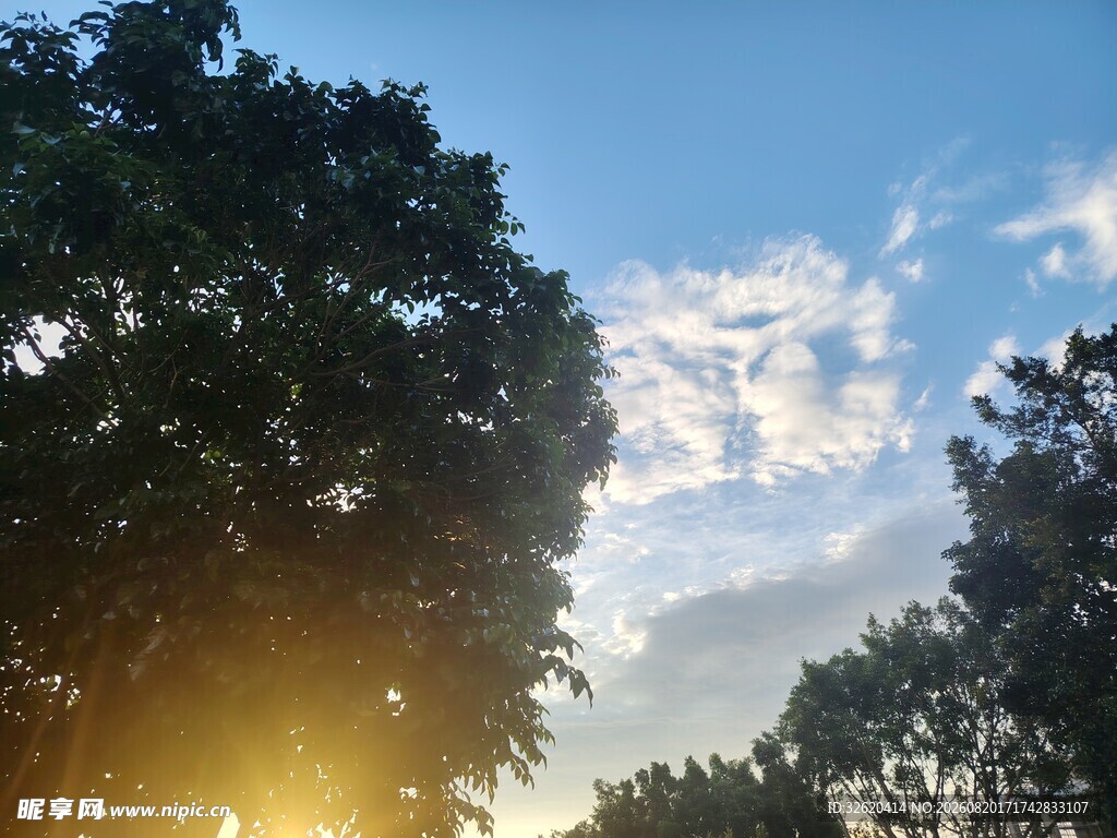 夕阳下的树林与天空美景