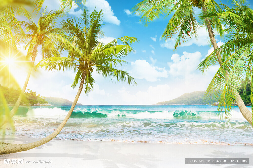 夏日海滩椰林美景