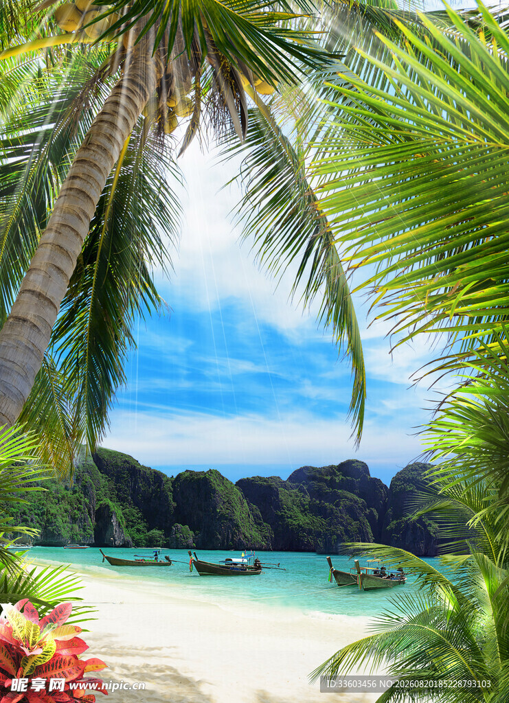 热带海滩美景椰林与碧海