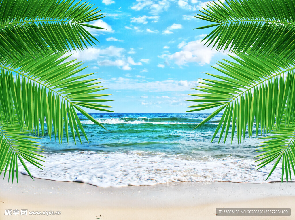 夏日海滩棕榈摇曳美景