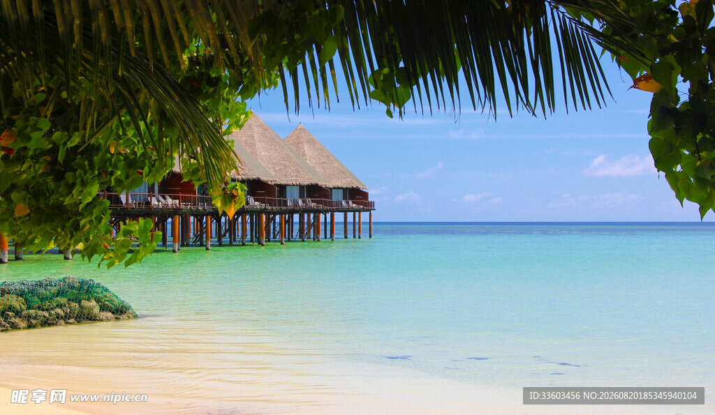 热带海滨度假小屋美景
