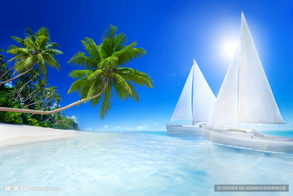 碧海白帆旁的椰林美景