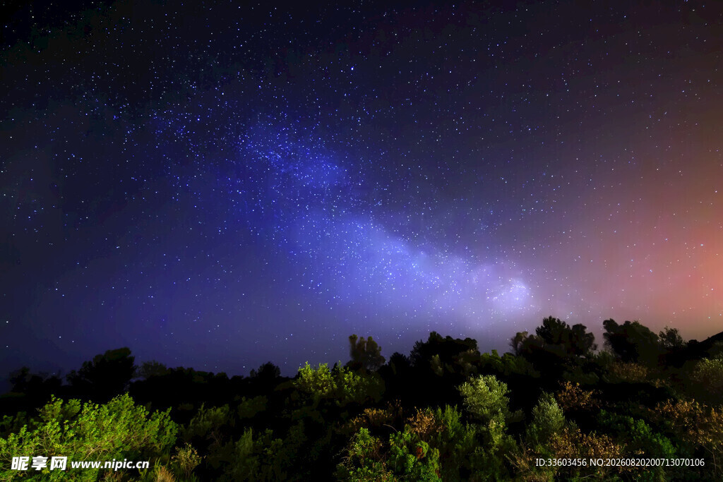 夜空下的绿植与绚丽星河