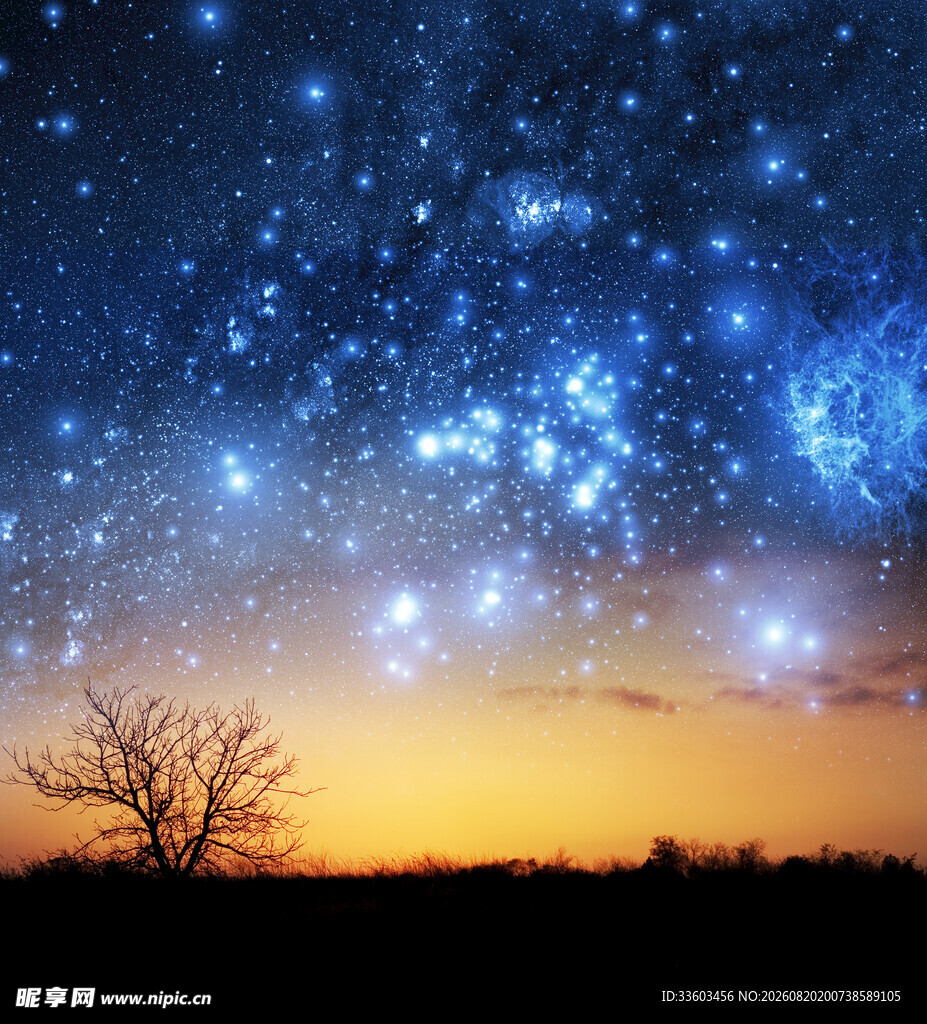 星空下的孤树