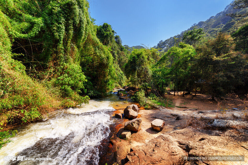 山间溪流绿意盎然的美景