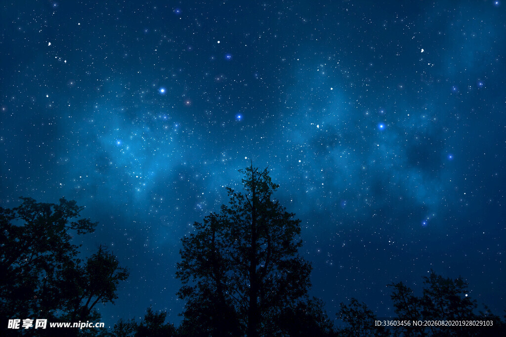 夜空下的璀璨星空与树木