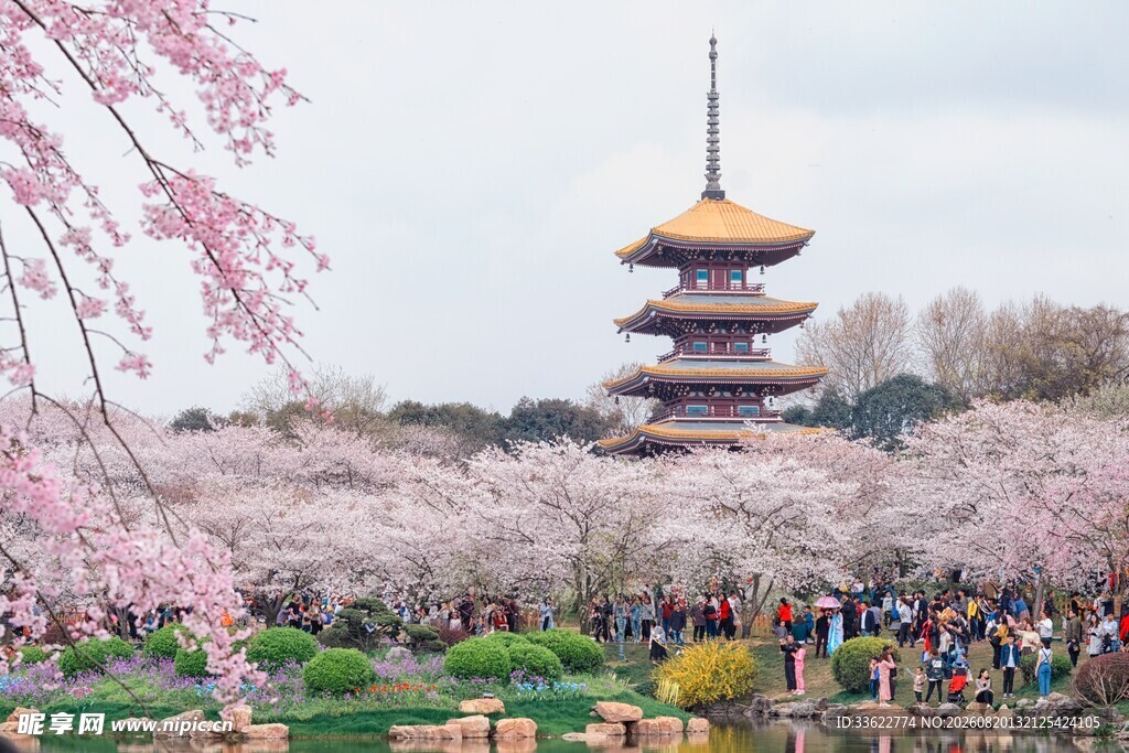 樱花环绕的古塔美景