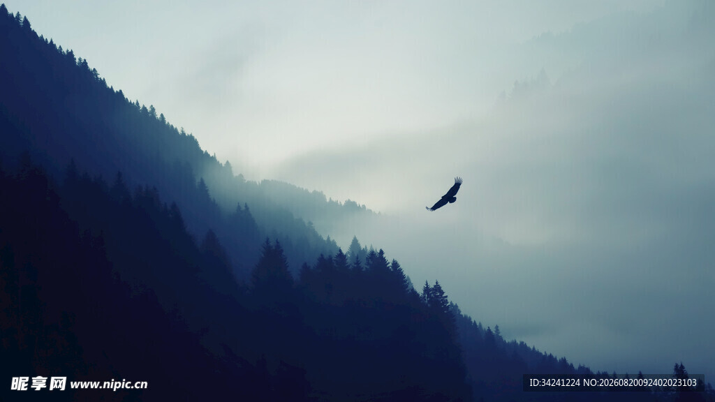 山间飞鸟云雾缭绕之景