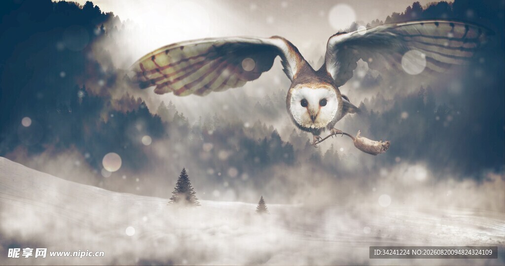 梦幻雪地中飞翔的神秘猫头鹰