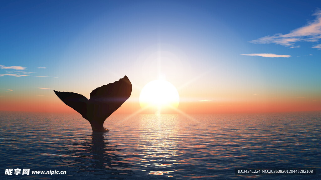 夕阳下的鲸鱼尾