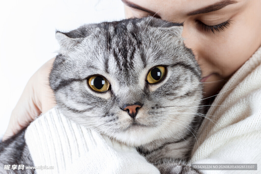 女子温馨拥抱可爱灰猫咪