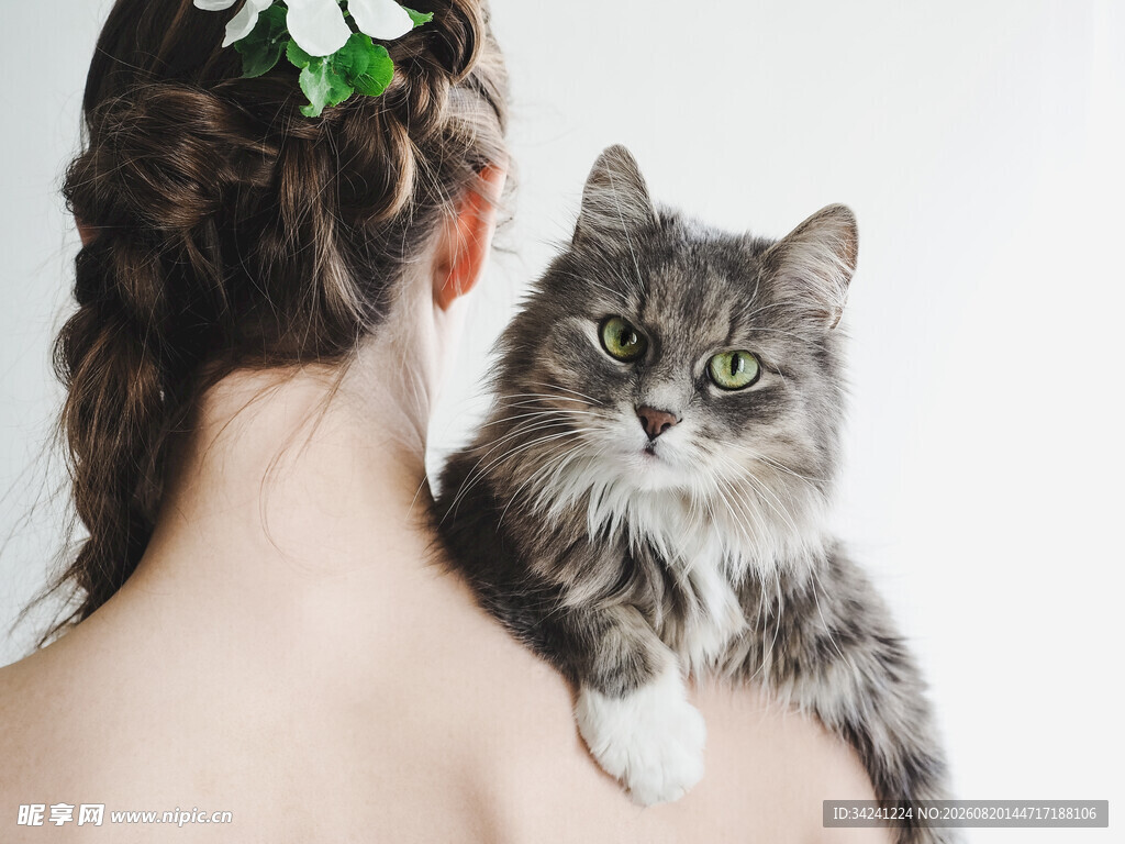 女子肩头的可爱长毛猫