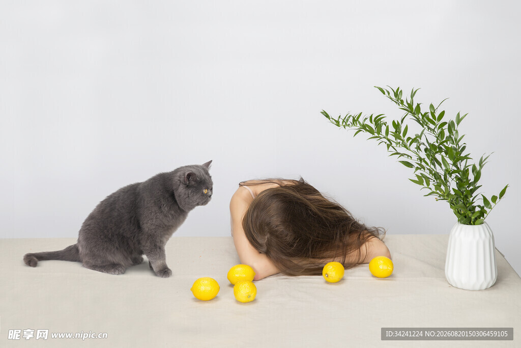 猫咪与女孩同赏柠檬绿植
