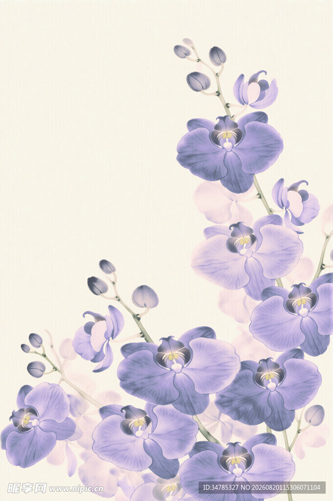 淡紫色花卉水彩插画