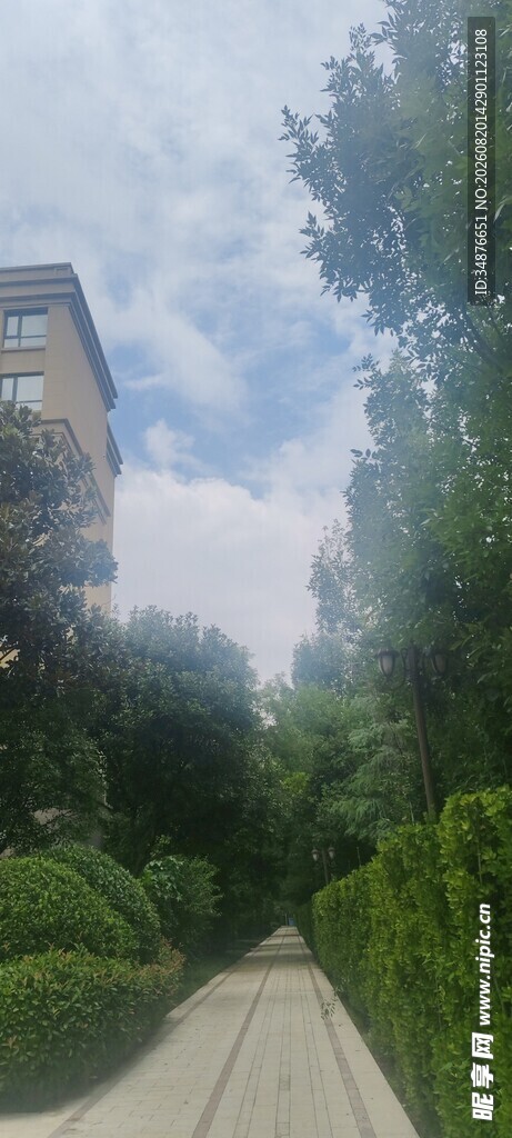 小区绿化 园林景观 