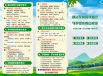 夏日饮品菜单展示