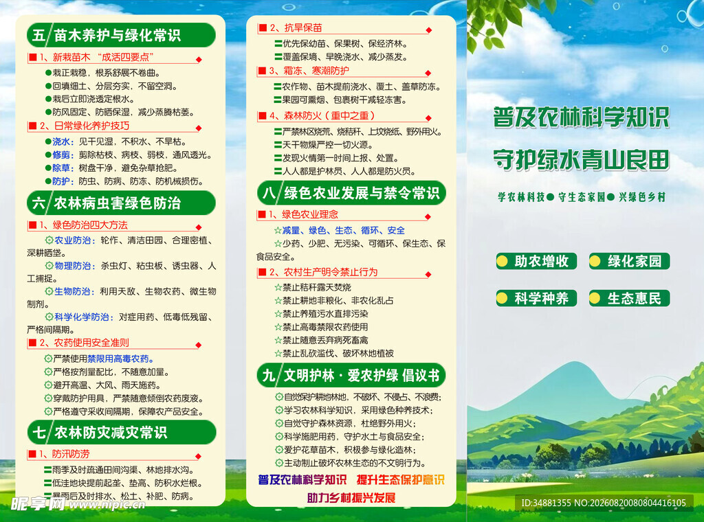 夏日饮品菜单展示