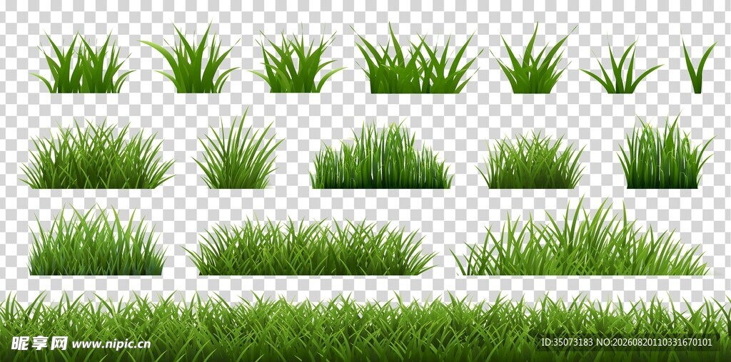 草丛