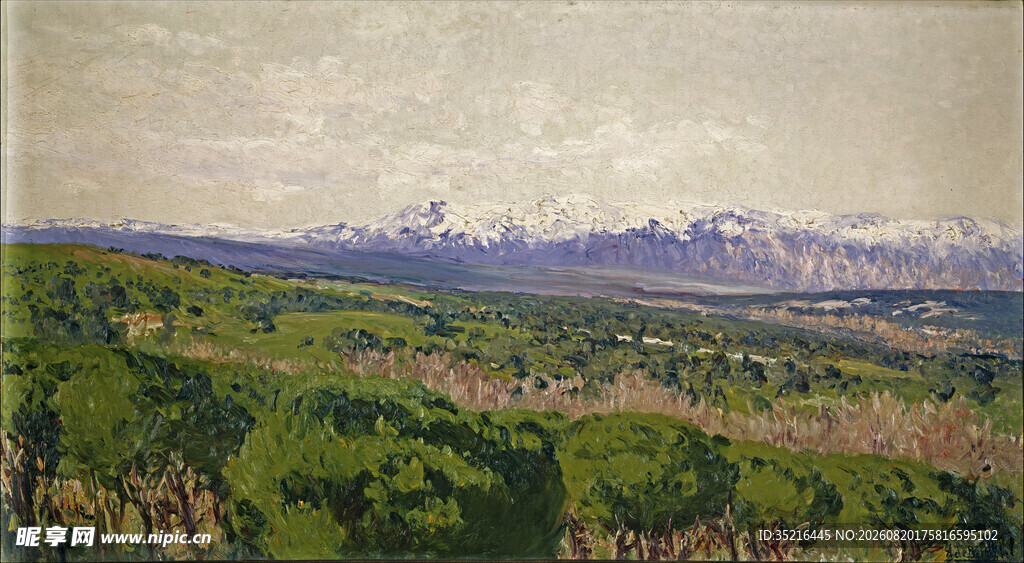 广袤绿野间的远山风景