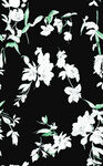 黑色底白色花卉图案