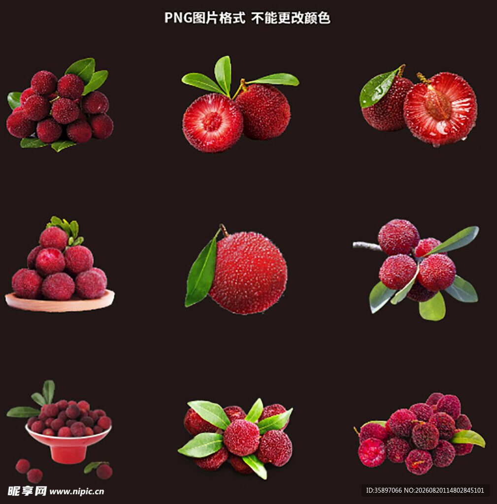 杨梅素材